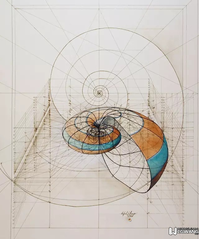 rafael araujo的插图中反复的突出了"黄金比例".